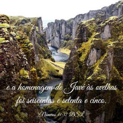 Picture 03 - Números 31:37 BSL - e a homenagem de Javé às ovelhas foi seiscentas - Bible Verse Picture