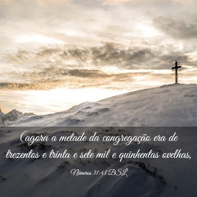 Picture 03 - Números 31:43 BSL - (agora a metade da congregação era de trezentos - Bible Verse Picture