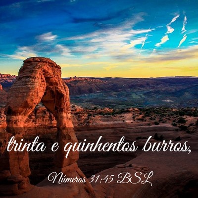 Picture 03 - Números 31:45 BSL - trinta e quinhentos - Bible Verse Picture