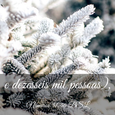 Picture 03 - Números 31:46 BSL - e dezesseis mil - Bible Verse Picture