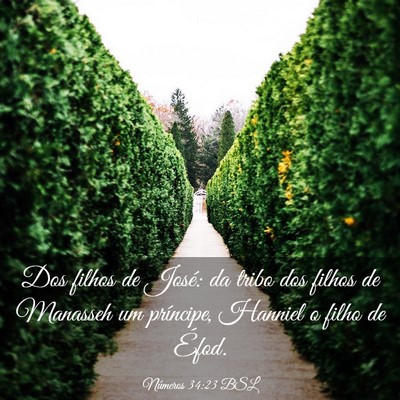 Picture 03 - Números 34:23 BSL - Dos filhos de José: da tribo dos filhos de - Bible Verse Picture