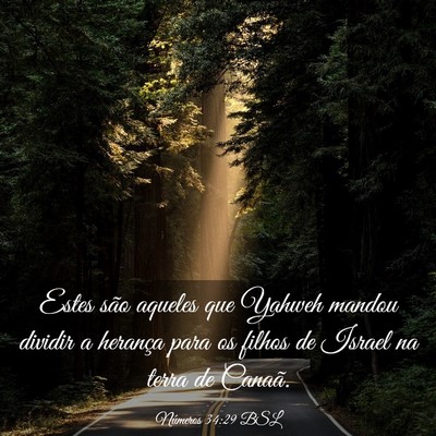 Picture 03 - Números 34:29 BSL - Estes são aqueles que Yahweh mandou dividir a - Bible Verse Picture