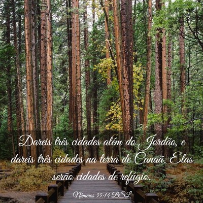 Picture 03 - Números 35:14 BSL - Dareis três cidades além do Jordão, e dareis - Bible Verse Picture
