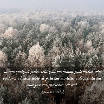 Picture 03 - Números 35:23 BSL - ou com qualquer pedra, pela qual um homem pode - Bible Verse Picture