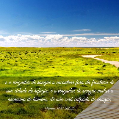 Picture 03 - Números 35:27 BSL - e o vingador de sangue o encontrar fora da - Bible Verse Picture