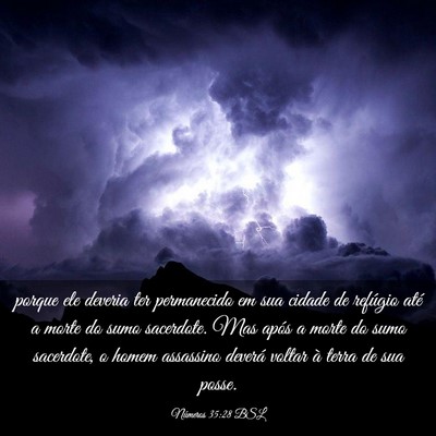 Picture 03 - Números 35:28 BSL - porque ele deveria ter permanecido em sua cidade - Bible Verse Picture