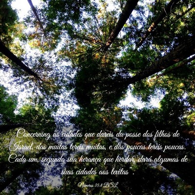 Picture 03 - Números 35:8 BSL - Concerning as cidades que dareis da posse dos - Bible Verse Picture