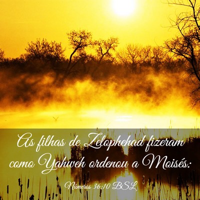 Picture 03 - Números 36:10 BSL - As filhas de Zelophehad fizeram como Yahweh - Bible Verse Picture
