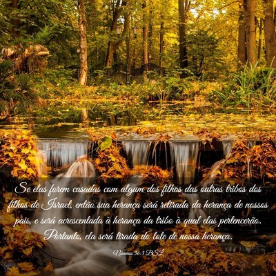 Picture 03 - Números 36:3 BSL - Se elas forem casadas com algum dos filhos das - Bible Verse Picture