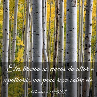 Picture 03 - Números 4:13 BSL - “Eles tirarão as cinzas do altar e espalharão - Bible Verse Picture