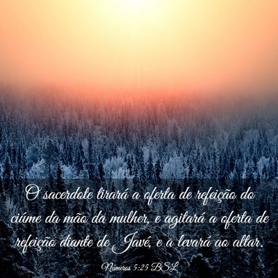 Picture 03 - Números 5:25 BSL - O sacerdote tirará a oferta de refeição do - Bible Verse Picture