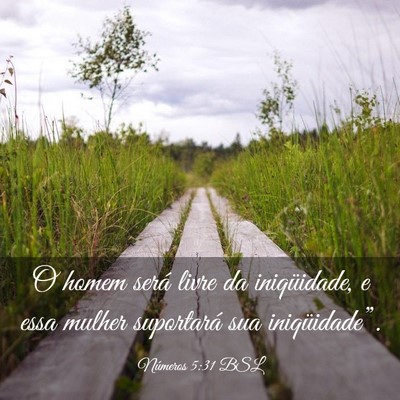 Picture 03 - Números 5:31 BSL - O homem será livre da iniqüidade, e essa mulher - Bible Verse Picture
