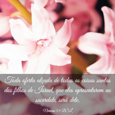 Picture 03 - Números 5:9 BSL - Toda oferta alçada de todas as coisas santas dos - Bible Verse Picture