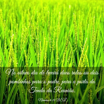 Picture 03 - Números 6:10 BSL - No oitavo dia ele levará duas rolas ou dois - Bible Verse Picture