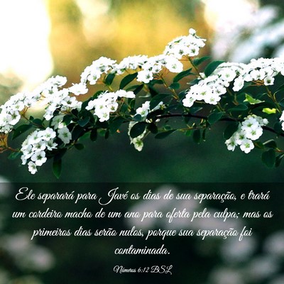 Picture 03 - Números 6:12 BSL - Ele separará para Javé os dias de sua - Bible Verse Picture