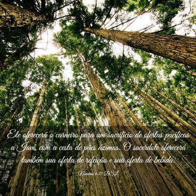Picture 03 - Números 6:17 BSL - Ele oferecerá o carneiro para um sacrifício de - Bible Verse Picture