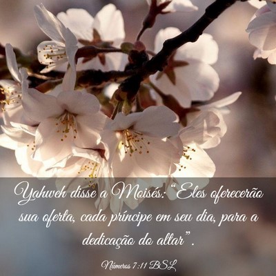 Picture 03 - Números 7:11 BSL - Yahweh disse a Moisés: “Eles oferecerão sua - Bible Verse Picture