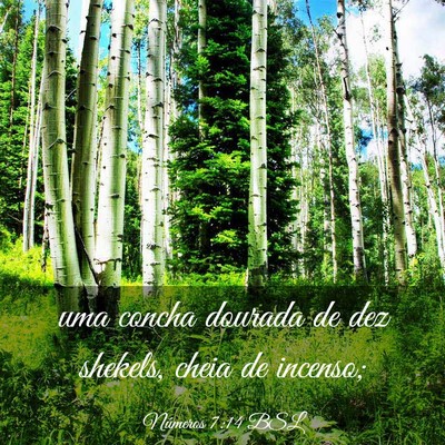 Picture 03 - Números 7:14 BSL - uma concha dourada de dez shekels, cheia de - Bible Verse Picture