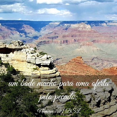 Picture 03 - Números 7:22 BSL - um bode macho para uma oferta pelo - Bible Verse Picture