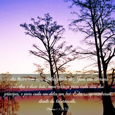 Picture 03 - Números 7:3 BSL - e eles trouxeram suas ofertas diante de Javé, - Bible Verse Picture