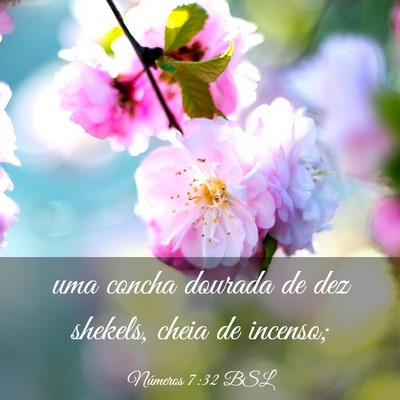 Picture 03 - Números 7:32 BSL - uma concha dourada de dez shekels, cheia de - Bible Verse Picture