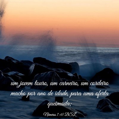 Picture 03 - Números 7:45 BSL - um jovem touro, um carneiro, um cordeiro macho - Bible Verse Picture