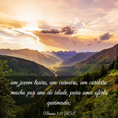 Picture 03 - Números 7:51 BSL - um jovem touro, um carneiro, um cordeiro macho - Bible Verse Picture