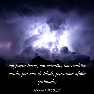 Picture 03 - Números 7:57 BSL - um jovem touro, um carneiro, um cordeiro macho - Bible Verse Picture