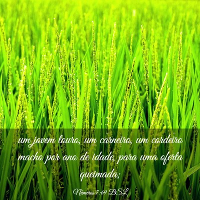Picture 03 - Números 7:69 BSL - um jovem touro, um carneiro, um cordeiro macho - Bible Verse Picture