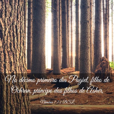 Picture 03 - Números 7:72 BSL - No décimo primeiro dia Pagiel, filho de Ochran, - Bible Verse Picture