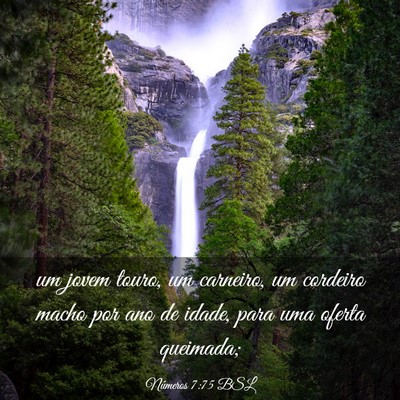 Picture 03 - Números 7:75 BSL - um jovem touro, um carneiro, um cordeiro macho - Bible Verse Picture
