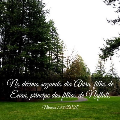 Picture 03 - Números 7:78 BSL - No décimo segundo dia Ahira, filho de Enan, - Bible Verse Picture