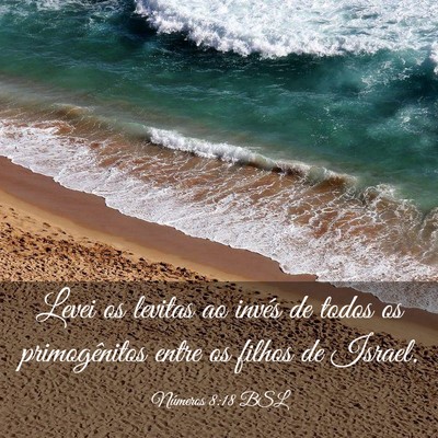 Picture 03 - Números 8:18 BSL - Levei os levitas ao invés de todos os - Bible Verse Picture