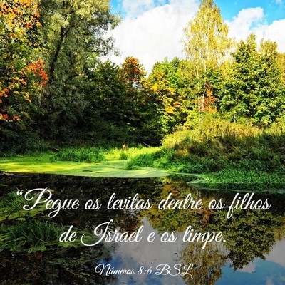 Picture 03 - Números 8:6 BSL - “Pegue os levitas dentre os filhos de Israel e - Bible Verse Picture