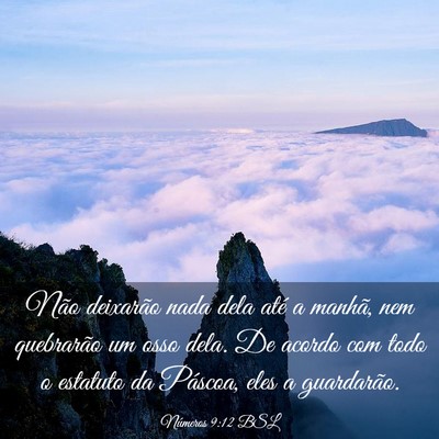 Picture 03 - Números 9:12 BSL - Não deixarão nada dela até a manhã, nem - Bible Verse Picture