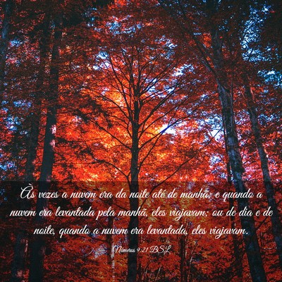 Picture 03 - Números 9:21 BSL - Às vezes a nuvem era da noite até de manhã; e - Bible Verse Picture