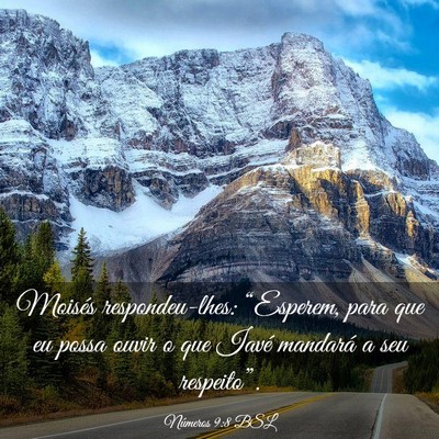 Picture 03 - Números 9:8 BSL - Moisés respondeu-lhes: “Esperem, para que eu - Bible Verse Picture