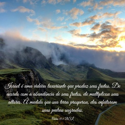 Picture 03 - Oséias 10:1 BSL - Israel é uma videira luxuriante que produz seus - Bible Verse Picture