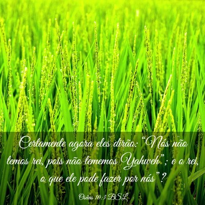 Picture 03 - Oséias 10:3 BSL - Certamente agora eles dirão: “Nós não temos - Bible Verse Picture