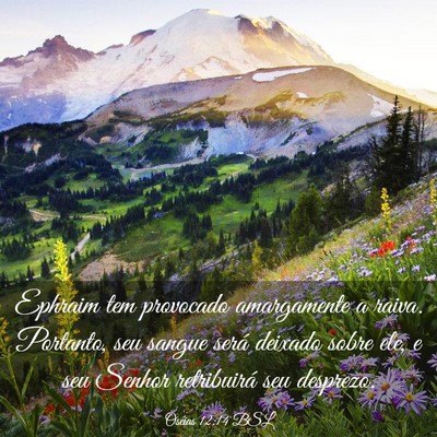 Picture 03 - Oséias 12:14 BSL - Ephraim tem provocado amargamente a raiva. - Bible Verse Picture
