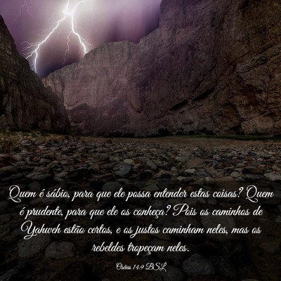 Picture 03 - Oséias 14:9 BSL - Quem é sábio, para que ele possa entender estas - Bible Verse Picture
