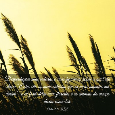Picture 03 - Oséias 2:12 BSL - Desperdiçarei suas videiras e suas figueiras, - Bible Verse Picture