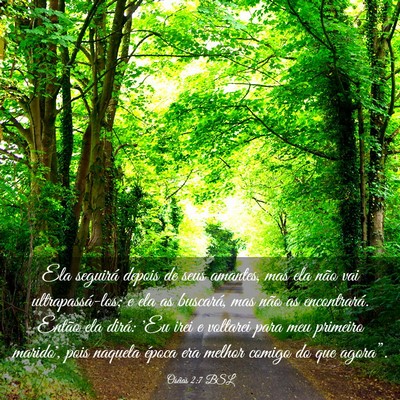 Picture 03 - Oséias 2:7 BSL - Ela seguirá depois de seus amantes, mas ela não - Bible Verse Picture