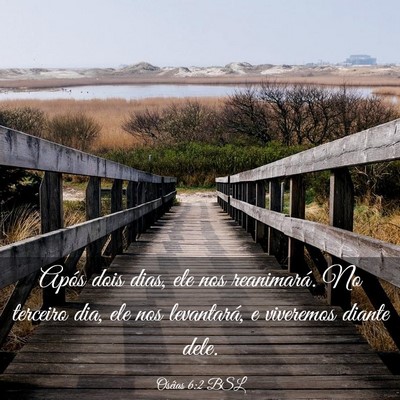 Picture 03 - Oséias 6:2 BSL - Após dois dias, ele nos reanimará. No terceiro - Bible Verse Picture