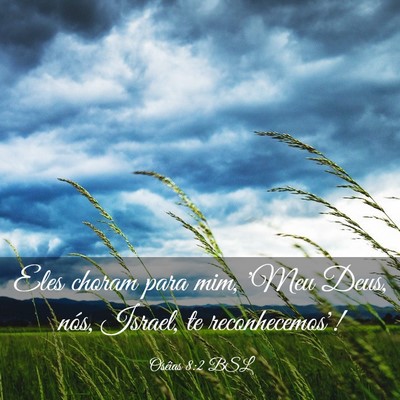 Picture 03 - Oséias 8:2 BSL - Eles choram para mim, 'Meu Deus, nós, Israel, te - Bible Verse Picture