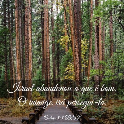 Picture 03 - Oséias 8:3 BSL - Israel abandonou o que é bom. O inimigo irá - Bible Verse Picture