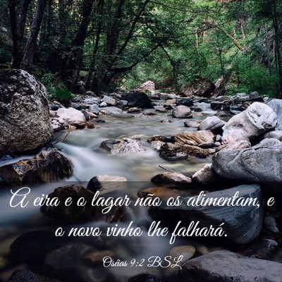 Picture 03 - Oséias 9:2 BSL - A eira e o lagar não os alimentam, e o novo - Bible Verse Picture