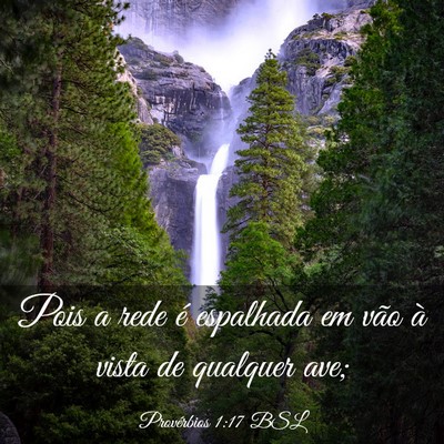 Picture 03 - Provérbios 1:17 BSL - Pois a rede é espalhada em vão à vista de - Bible Verse Picture