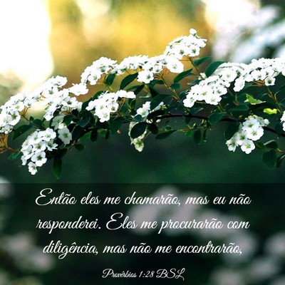 Picture 03 - Provérbios 1:28 BSL - Então eles me chamarão, mas eu não - Bible Verse Picture