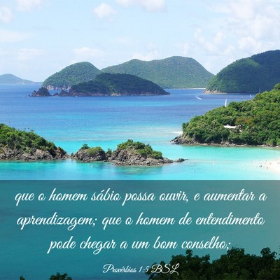 Picture 03 - Provérbios 1:5 BSL - que o homem sábio possa ouvir, e aumentar a - Bible Verse Picture